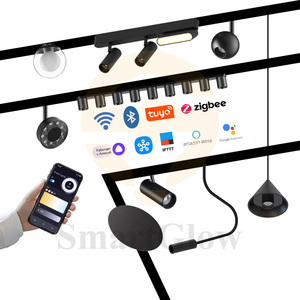 אולטרה דק חכם מדליק מגנט מסלול הרכבת אלחוטי tuya ziggbe 6w 12w 18w dc24v ליניארי מערכת dali הוביל מגנטים מסלול מגנטי - Product Image 1