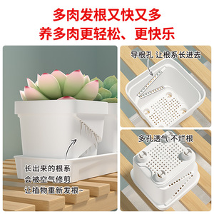 Pot carré en résine pour plantes succulentes, base respirante, jardinières de bureau pour jardinage domestique, diamètre 7 cm - Product Image 3