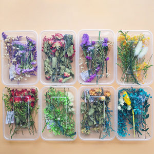 <span class=keywords><strong>Kit</strong></span> de Matériaux <span class=keywords><strong>DIY</strong></span> pour Fleurs Séchées Naturelles, Boîte Thème Multicolore, Fournitures pour Cadres Floraux et Fabrication de Bougies, Approvisionnement Transfrontalier - Product Image 3