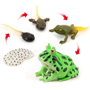 Figuras de Animales de PVC Sólido al por Mayor, Figuras del Ciclo de Vida de Mariposas, Arañas y Otros Insectos - Product Image 5