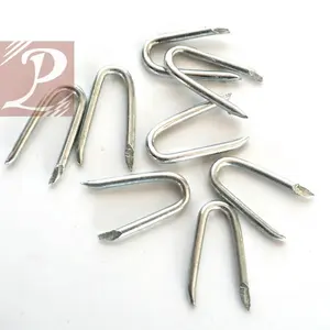 New Zealand Galvanized 35mm Fence Batten Staples/U type nails