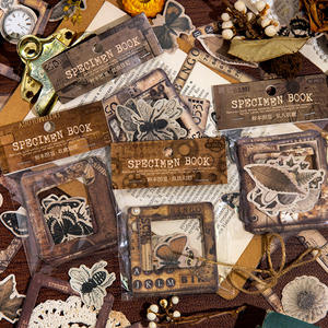 20 unidades/paquete muestras de datos un manual ilustrado serie Retro diario decoración Material papel con pegatinas 6 tipos - Product Image 4