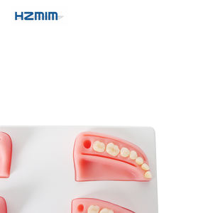 Modello di formazione dentale umano con denti in resina per uso alimentare Silicone sutura Pad per la pratica per le scuole e gli ospedali - Product Image 5