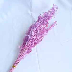 Bestseller Fiori Secchi Naturali Ruscus Erba del <span class=keywords><strong>Sangue</strong></span> <span class=keywords><strong>di</strong></span> Drago Ornamenti Floreali per <span class=keywords><strong>San</strong></span> <span class=keywords><strong>Valentino</strong></span> - Product Image 3