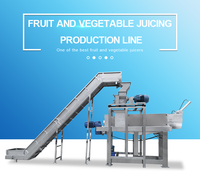 Automatische Fruitlift Wasmachine Molen En Juicer Groente Reiniging Transportband Wasmachine Sapcentrifuge Afzuigmachine Machine
