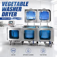 Intelligente SUS304 automatische microcomputer-gestuurde fruit- en groentewasmachine met CE-certificering