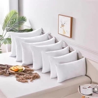 Literie de maison Coussin Inserts Oreiller Décoratif Forme Carrée pour Canapé Canapé Lit Coussin et Oreiller Paquet Personnalisé Étanche