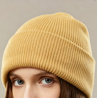 Bonnet de ski unisexe en acrylique de qualité supérieure, style streetwear, personnalisable avec logo 3D brodé, bord côtelé, idéal pour l'hiver et les sports d'hiver