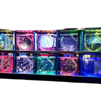 Conception moderne sur mesure grand aquarium en plastique Fish Tank Produits en plastique haut de gamme de la société Aquarium