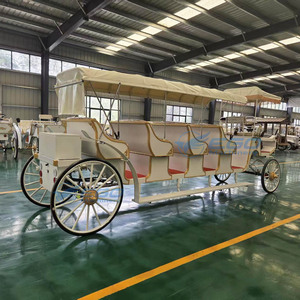 Carruaje de Caballos Eléctrico de Lujo para Turismo Victoriano, 4+1 Filas, para Parques Ecuestres, Precio de Fábrica - Product Image 5