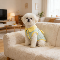 Chaleco para Mascotas con Estampado de Dibujos Animados Personalizado, Ropa de Verano Delgada y Transpirable para Perros - Proveedor OEM/ODM