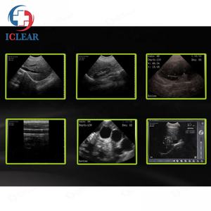 Alat Pemindai <span class=keywords><strong>Ultrasound</strong></span> Mini Nirkabel Portabel untuk <span class=keywords><strong>Laptop</strong></span> untuk Hewan - Product Image 3