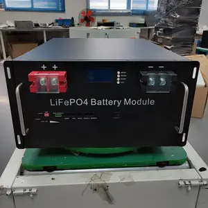 Customized Lipo4 Lithium 48V 100Ah 51.2V 100Ah 200Ah 48V Lifepo4 Battery Pack Lithium Iron Lifepo4 Battery 48v 200ah