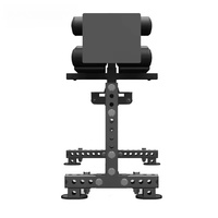 SENFENG SPORTS Équipement de gymnastique de fitness de haute qualité Chaise romaine Glute Drive Hip Back Extension Sit-Ups Muscle up Glute