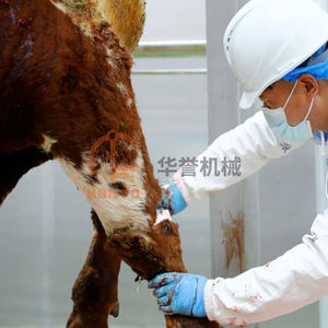 Proyecto Llave en Mano <span class=keywords><strong>para</strong></span> Matadero de Vacas, Línea de Sacrificio de <span class=keywords><strong>Ganado</strong></span>, Matadero de Bovinos - Product Image 4