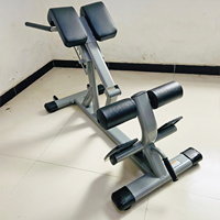 Banc d'extension dorsal multifonctionnel pour la musculation en salle de sport, banc de sit-up réglable, chaise romaine