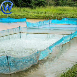Filet Hapa en plastique <span class=keywords><strong>Cage</strong></span> de pisciculture Mangeoire <span class=keywords><strong>Cage</strong></span> de poisson-chat de pêche Filet philippin Cages à poisson flottantes Vente pour Loach - Product Image 1