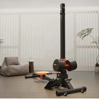 Nouvel appareil de fitness multifonctionnel pliable Home Core Strength, machine à ramer d'intérieur à poids réglable, unisexe