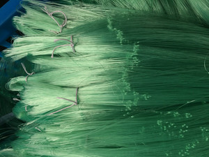 Rete da Pesca per Gamberi/Camaroni - Product Image 2