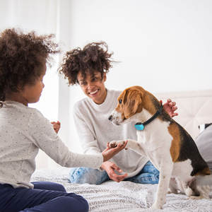 <span class=keywords><strong>Collier</strong></span> <span class=keywords><strong>anti</strong></span>-aboiements rechargeable de dressage de chien sans choc en plastique - Product Image 5