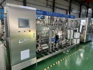 Línea de Producción de Bebidas de Jugo de Durazno en Botella de 500 ml, Paquete al por Mayor - Product Image 4