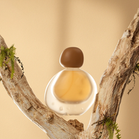 Nouveau Design Boule Couvercle Forme Spéciale Cosmétique Verre 30ml Transparent Personnalisé Bouteille Vide Huile Essentielle Liquide Fond de Teint Bouteille