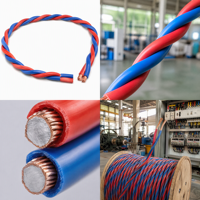 Câble torsadé RVS 2x2,5mm² 2x4mm² 2x6mm² en cuivre plaqué aluminium (CCA) pour haut-parleur, alarme incendie, lampe, projet électrique DIY