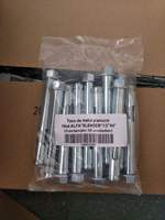 China Factory OEM & ODM Wedge Anchor Fastener