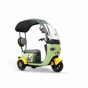 2025 nouveau vélo électrique adulte Pedicab 800W usage familial vélo électrique à 3 roues avec toit ouvert corps 48V tension - Product Image 1