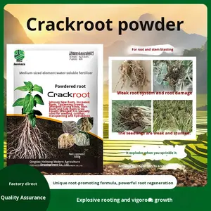 挿し木移植と苗の強化のための根付き粉末-ユニバーサルホーム使用Crackroot中国 - Product Image 2