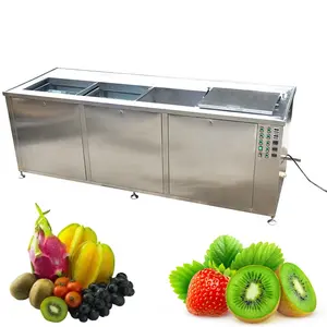 Commerciële Bubble Wash Reinigingsmachine Fruit Was Wasmachine Groente Wasmachine