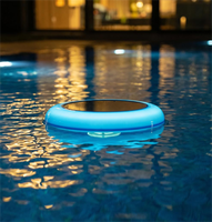 Ioniseur de piscine portable lumineux en acier inoxydable SR006 multicolore à prix de gros pour la désinfection des jardins