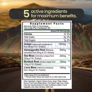 Gomitas de Musgo Marino para Adultos OEM ASAP, Aceite de Semillas Negras, Ashwagandha, Jengibre, Shilajit, Melena de León - Suplemento Herbal para Mejorar la Inmunidad - Product Image 4