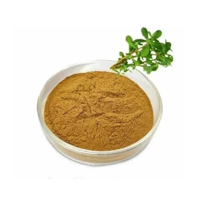 ผงสกัดบาโคปาคุณภาพสูง 20% บาโคไซด์ สารสกัดจากใบบาโคปา โมนิเอรี ผงสมุนไพรจากพืช วัตถุดิบ จำหน่ายจำนวนมาก - Product Image 6