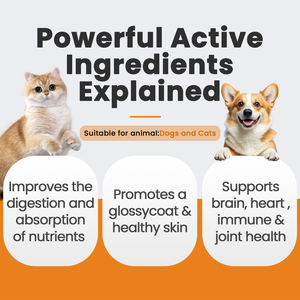 Eco-Friendly Soft Chews Dog Hip &amp; Joint Supplement <strong>Glucosamine</strong> &amp; Chondroitin Arthritis Pain Relief Pet Health Care &amp; Supplements - Product Image 6