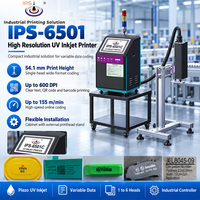 Imprimante industrielle à jet d'encre UV IPS-6501 PIJ, machine d'impression numérique UV, 54,1 mm, 600 DPI, 155 m/min, code QR, données variables