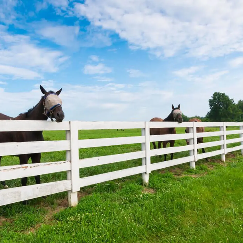 Horse Livestock AG and Farm Fencing Installation with PVC Coated Plastic Frame