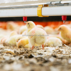 Vente directe usine YYC – Abreuvoir automatique à tétine pour poulets de chair et poules pondeuses en plastique et acier inoxydable - Product Image 6