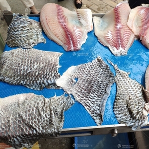 Tự Động Công Nghiệp Cá Da Loại Bỏ Máy Cá Rô Phi Lột Máy Mực Peeler Máy - Product Image 2