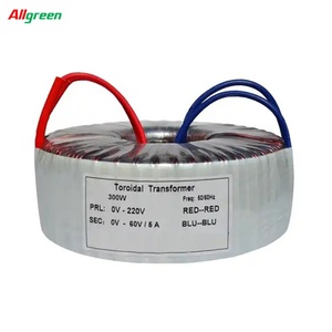 Transformateur toroïdal Allgreen pour amplificateurs audio 50W 100W 150W 200W 300W 500W Transformateur toroïdal - Product Image 3