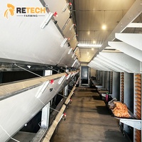 Système d'alimentation et d'abreuvement automatique pour 50 000 poulets, équipement de cage en batterie de type H pour poules pondeuses avec ventilation