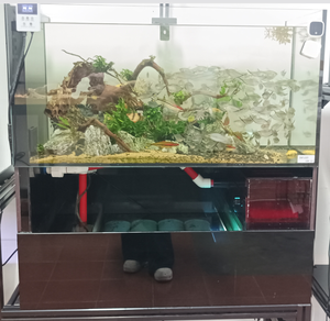 800*400*800 cm großes, ab Werk erhältliches Wohnzimmer-Aquarium mit integriertem Bodenfilter und integriertem Tank für tropische Fische, Goldfische und andere Aquarienfische. - Product Image 5