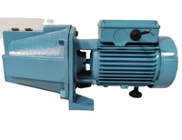 Pompe à eau auto-amorçante électrique Jet100 NGM-100, 1HP0.75kw, pour le marché égyptien