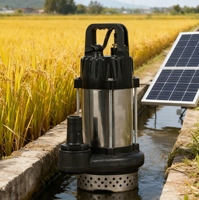 Pompes à eau solaires 1 pouce 48V 500W : Conception submersible en acier inoxydable avec moteur sans balais pour l'irrigation agricole