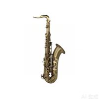 Eastern Music Brass Body Bb Tenor Saxophone Professional Wind Instrument Model TS300Q Rust Resistant for Students