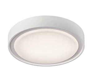Ip65 Impermeabile lampada <span class=keywords><strong>da</strong></span> soffitto a prova di umidità led moderna <span class=keywords><strong>balcone</strong></span> cortile lampada <span class=keywords><strong>da</strong></span> parete del corridoio lampada <span class=keywords><strong>da</strong></span> parete esterna impermeabile - Product Image 2