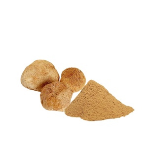 Lions Mane Herbal Natural Powder Lions Mane Extract 30% Beta Glucan 2% Hericenones - Product Image 1