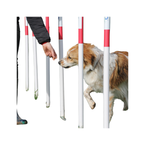 Slalom Chien Agilité 12 Pegs Équipement Professionnel Train Structure Animal Bien-être Coordination Canine Pet Setup Fitness Chien Sport - Product Image 1