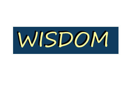 Nanchang Wisdom Import & Export Co., Ltd. logo