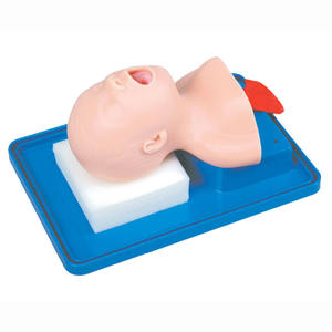 Geavanceerde Pvc Pediatrische Luchtpijp Intubatie Model Pasgeboren Baby Luchtweg Trainers Manikin - Product Image 4